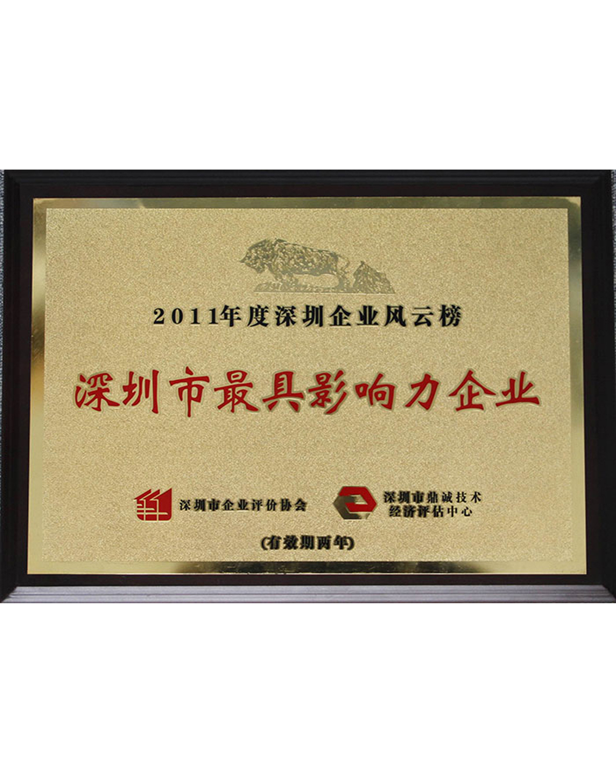 最具影響力企業(yè)